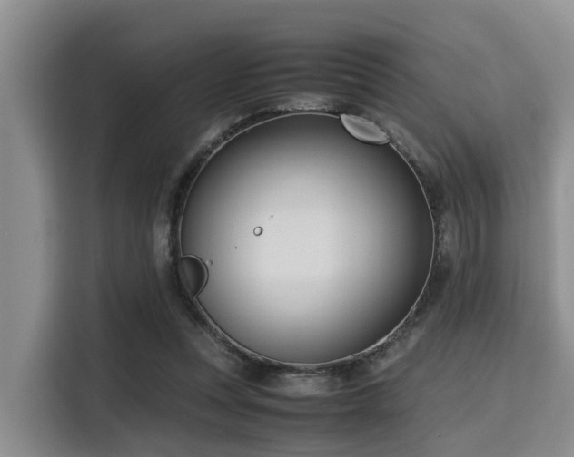 X0000115390351200911101457