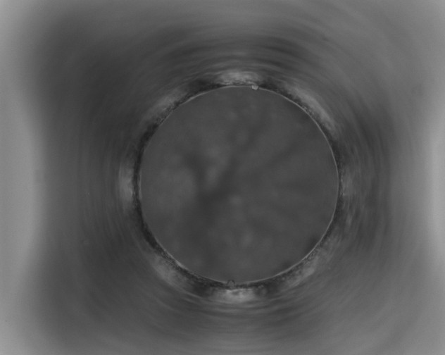 X0000115390353200911101457