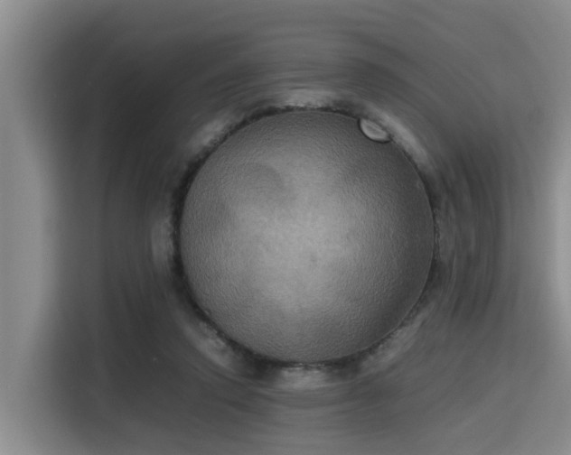 X0000115390354200911101457