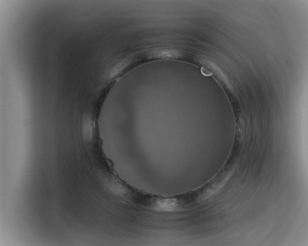 X0000115390355200911101457