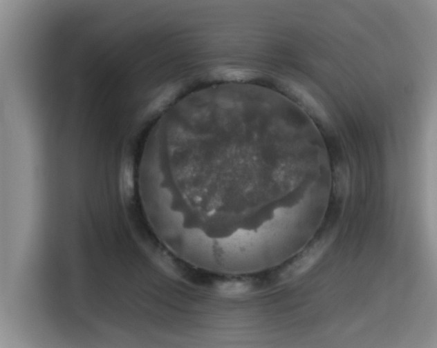 X0000115390358200911101457