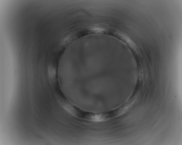 X0000115390365200911101457