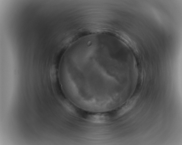 X0000115390366200911101457