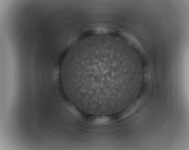 X0000115390369200911101457