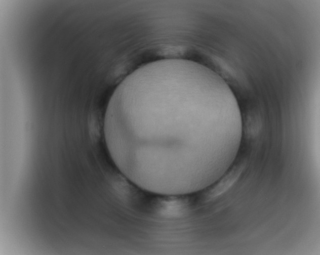 X0000115390370200911101457