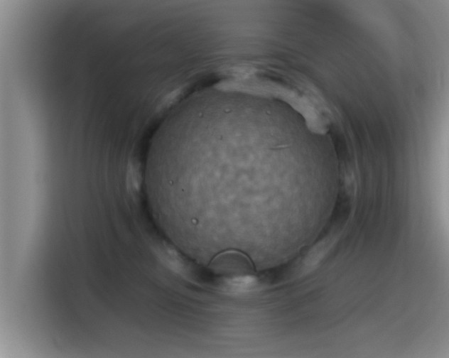 X0000115390374200911101457