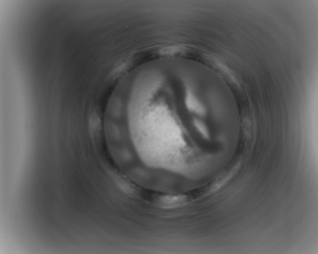 X0000115390375200911101457