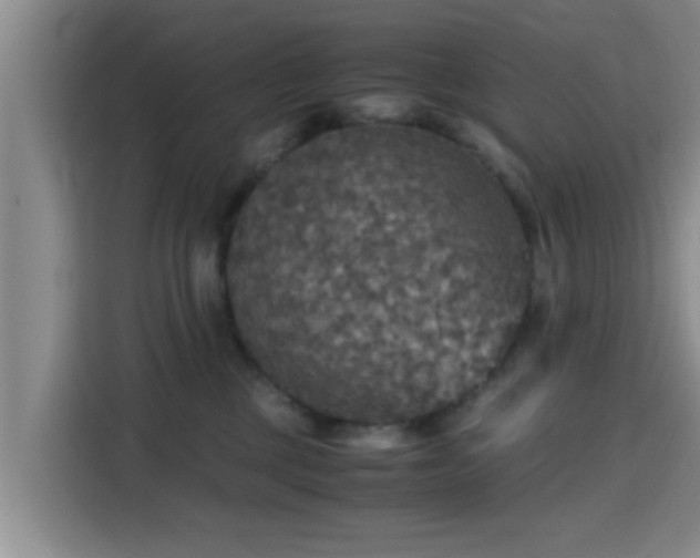 X0000115390377200911101457