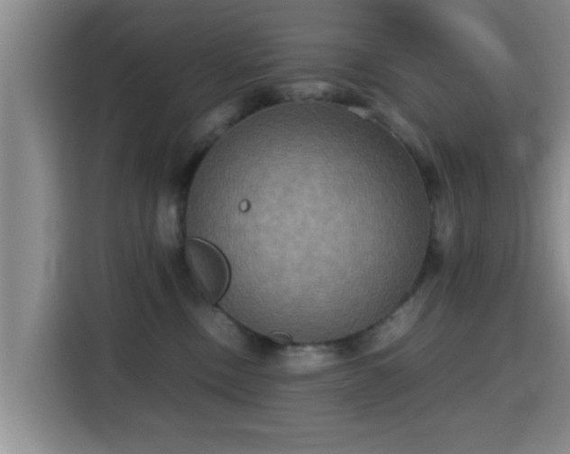 X0000115390378200911101457