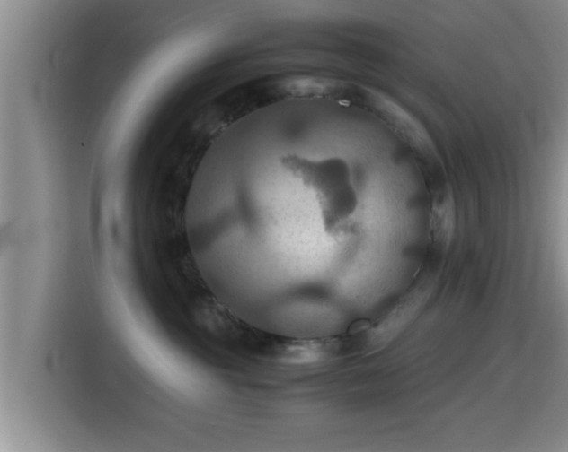 X0000115390381200911101457