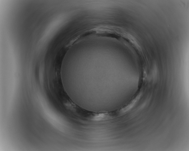 X0000115390382200911101457