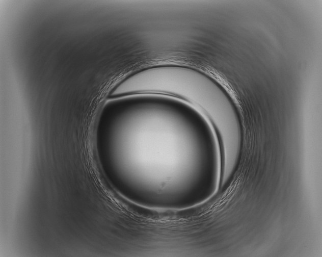 X0000115390385200911101456