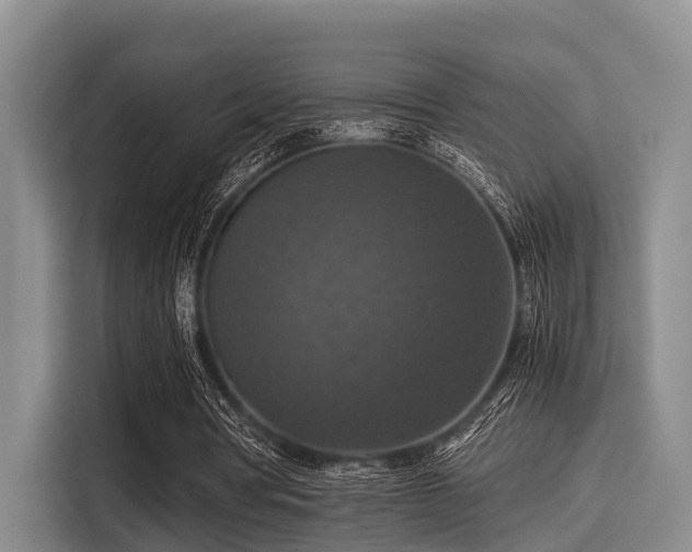 X0000115390386200911101456