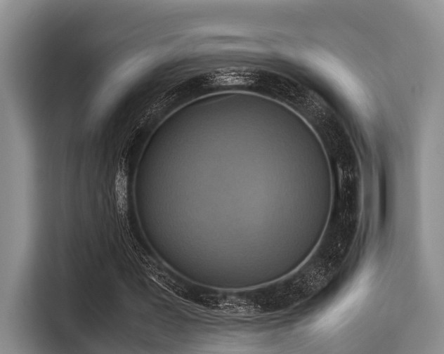 X0000115390387200911101456