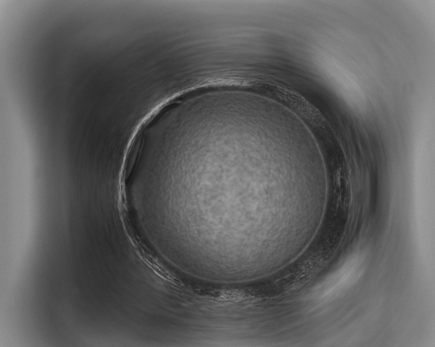 X0000115390388200911101456