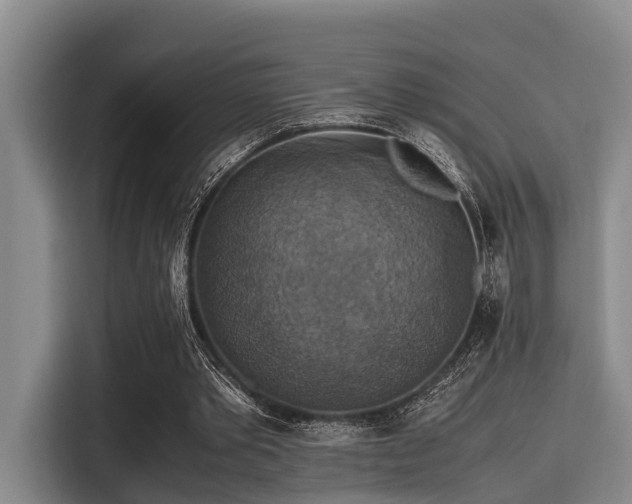 X0000115390389200911101456