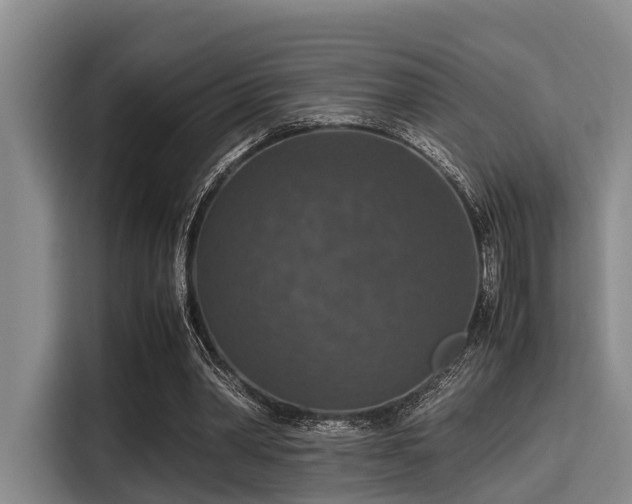 X0000115390390200911101456
