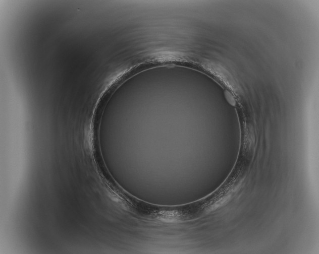 X0000115390391200911101456