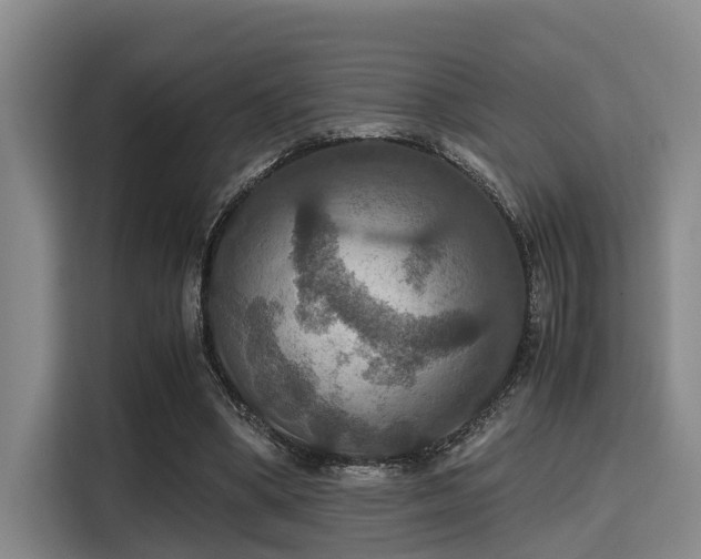 X0000115390394200911101456