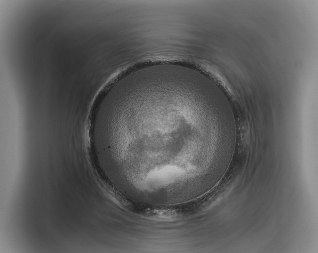X0000115390395200911101456