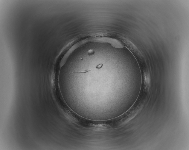 X0000115390396200911101456