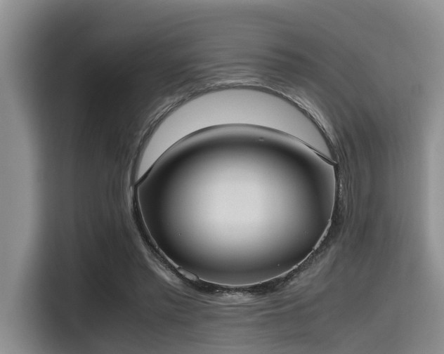 X0000115390397200911101456
