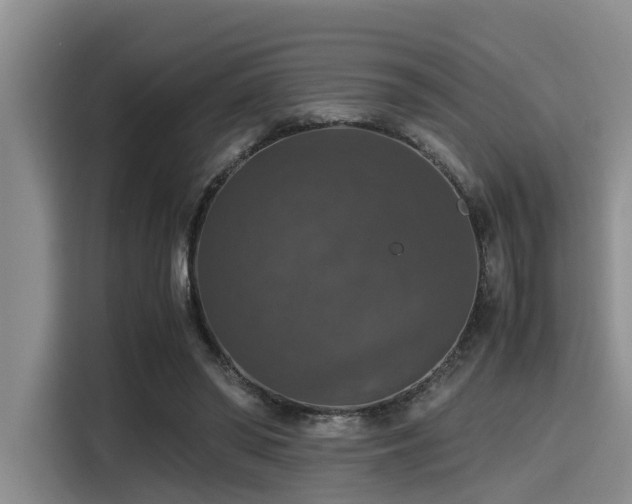 X0000115390398200911101456