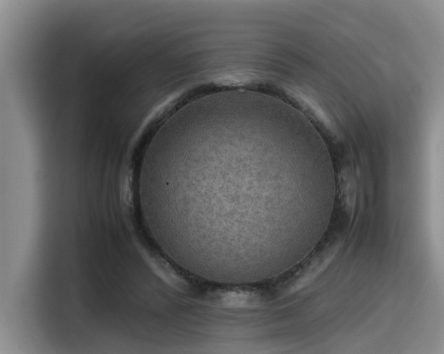 X0000115390400200911101456