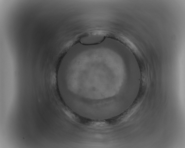 X0000115390401200911101456