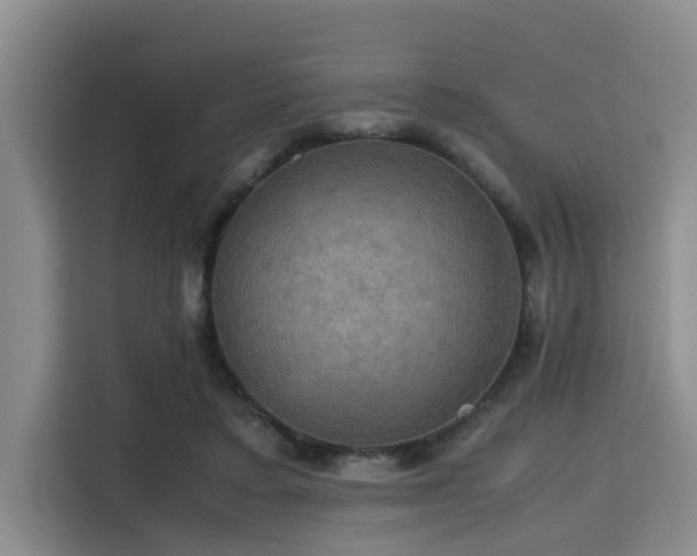 X0000115390403200911101456