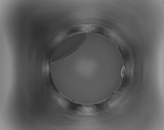 X0000115390405200911101456