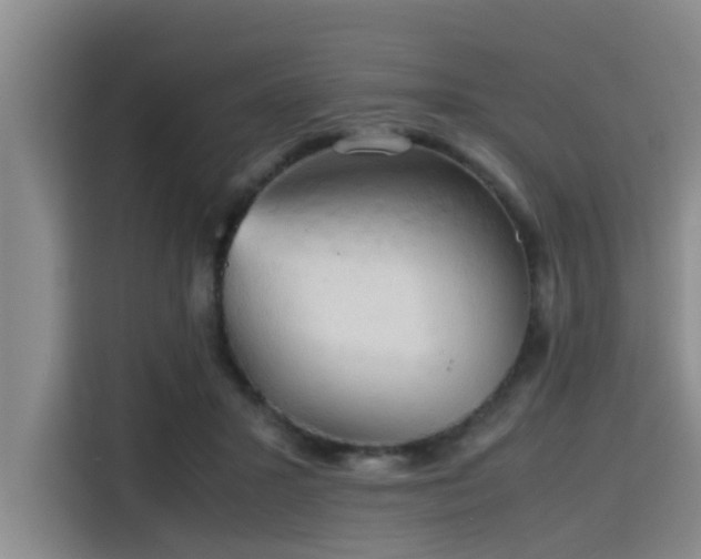 X0000115390407200911101456