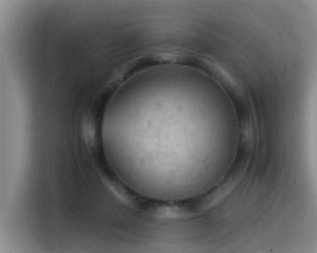 X0000115390408200911101456