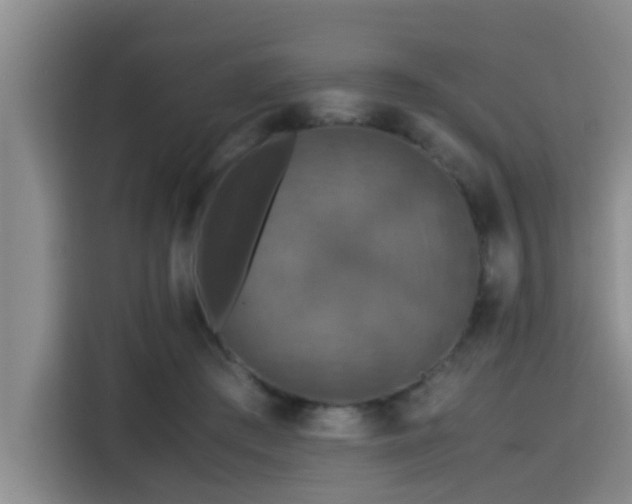X0000115390409200911101456