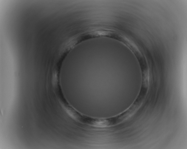 X0000115390410200911101456