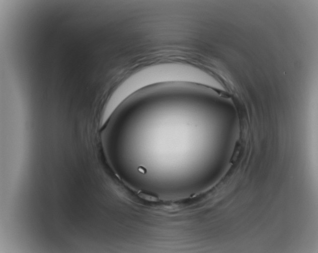 X0000115390411200911101456
