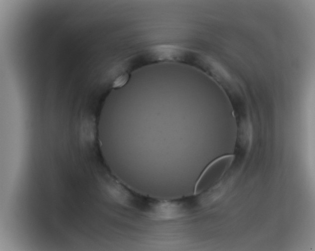 X0000115390413200911101456
