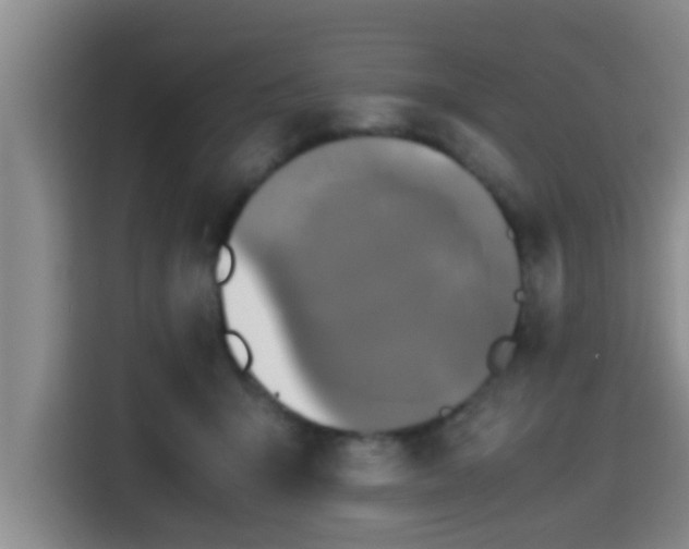 X0000115390415200911101456