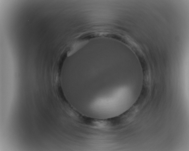 X0000115390417200911101456