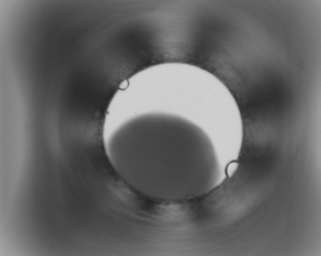X0000115390419200911101456