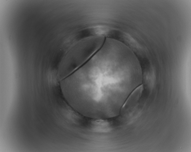 X0000115390421200911101456