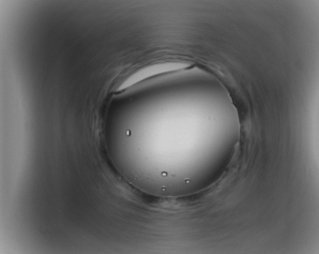 X0000115390423200911101456