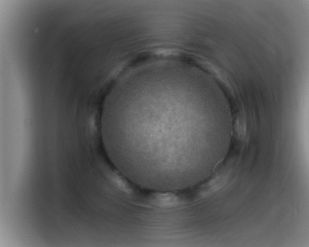 X0000115390424200911101456