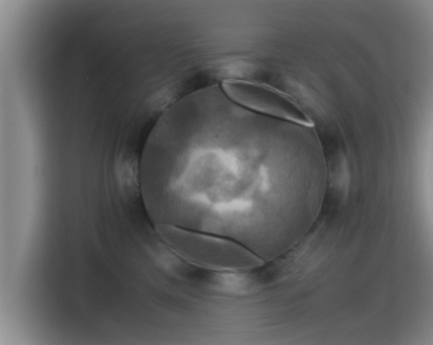 X0000115390425200911101456