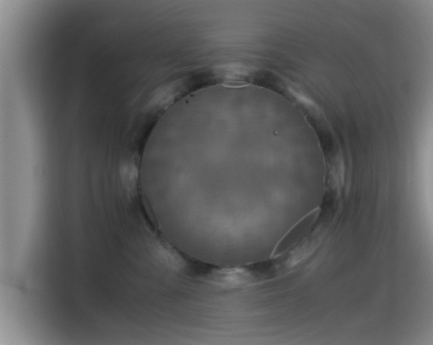 X0000115390427200911101456