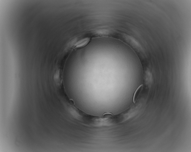 X0000115390428200911101456