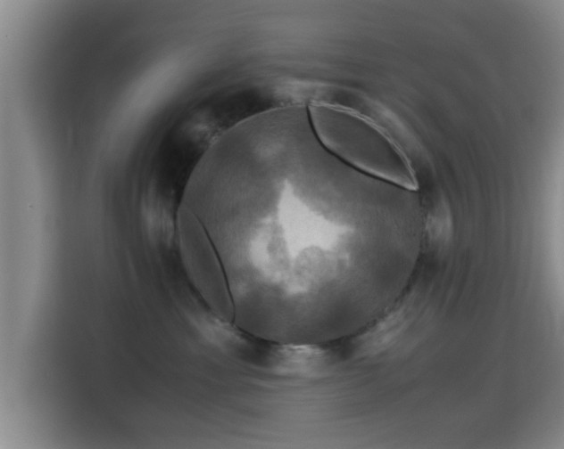 X0000115390429200911101456