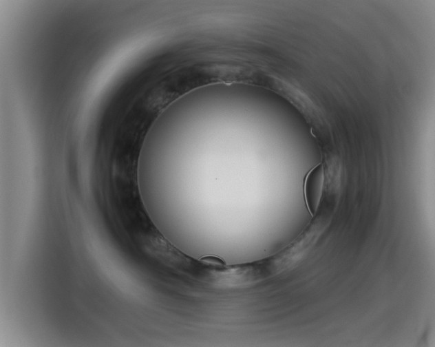 X0000115390430200911101456