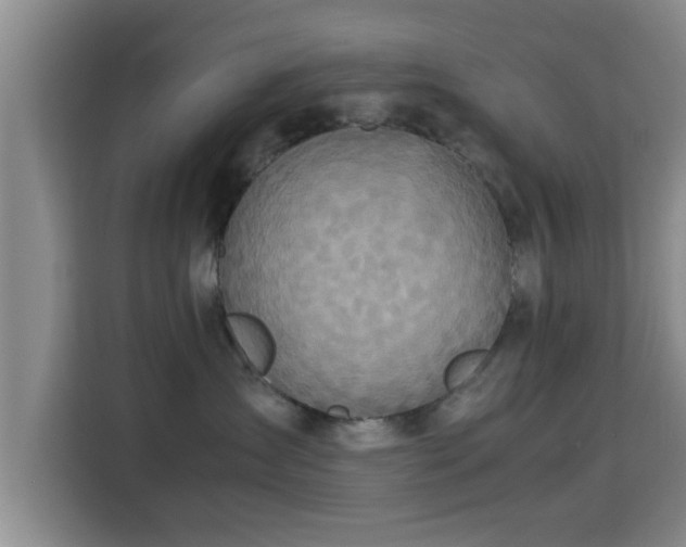 X0000115390431200911101456