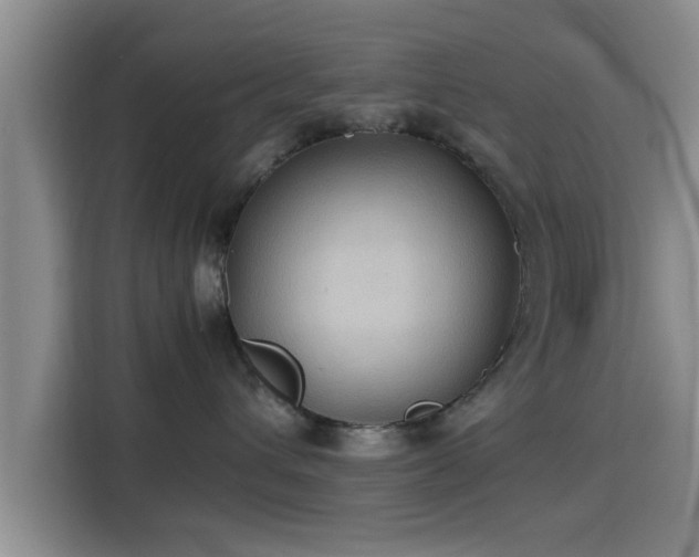 X0000115390432200911101456